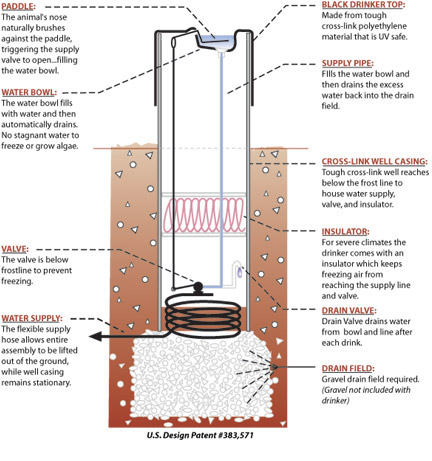 How the Water Drinker Works