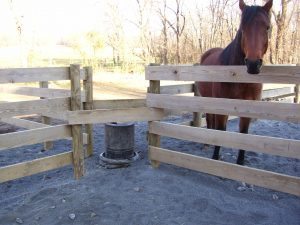 Pamela White - 4 way install how to install horse waterers USA