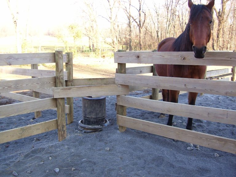 How To Install Horse Waterers BarBarA