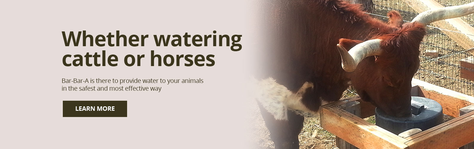 Horse Drinker Bar Bar A NonElectric Automatic Waterer