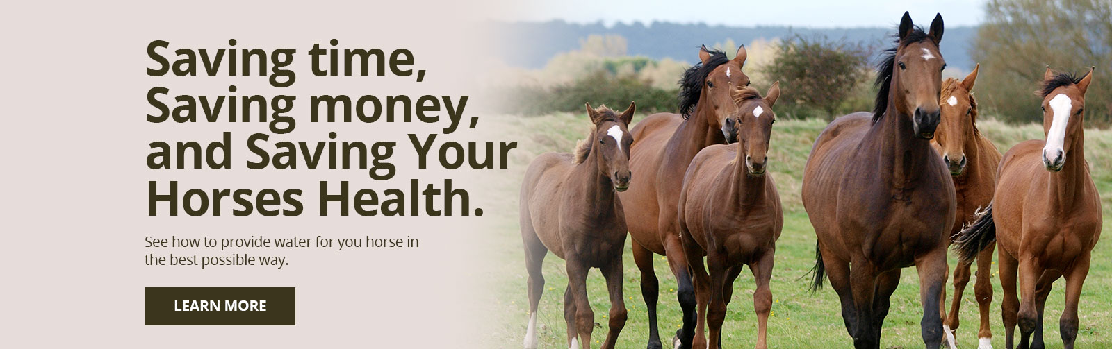 Horse Drinker Bar Bar A NonElectric Automatic Waterer