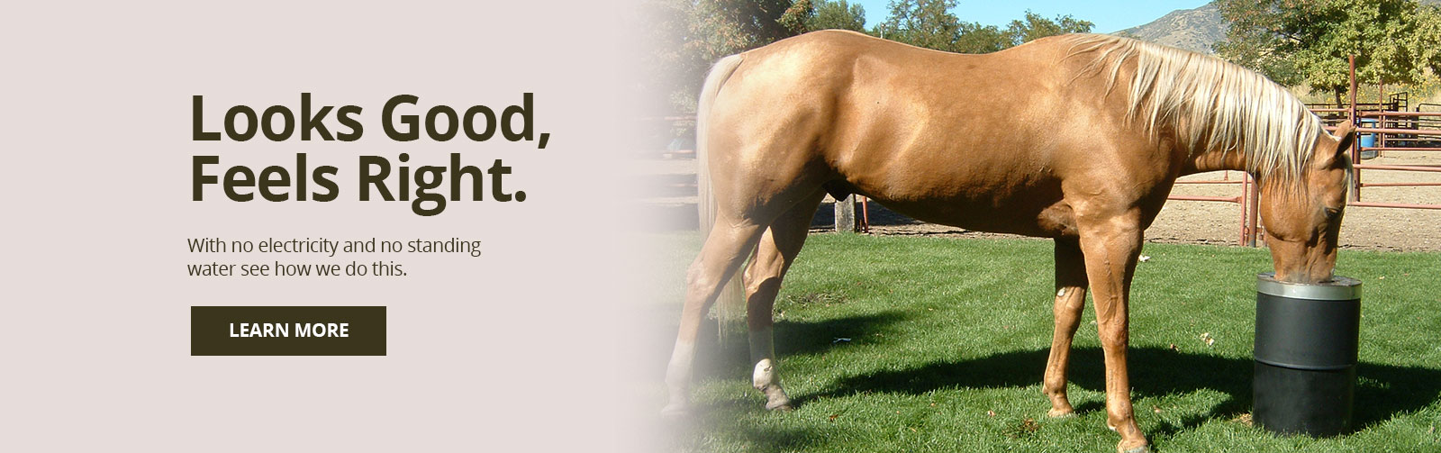 Horse Waterers By Bar Bar A Automatic Horse Drinkers