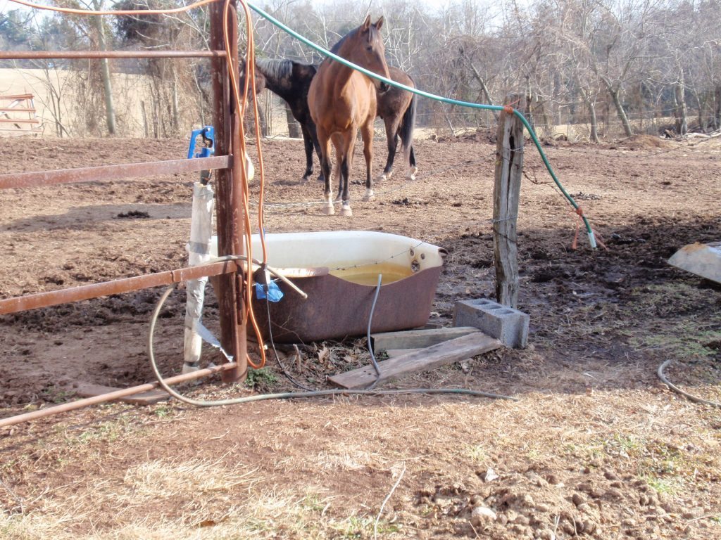 Bar Bar A Automatic Horse Waterer Utah