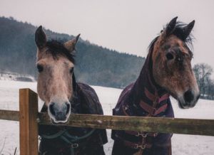 Pros and Cons of Blanketing