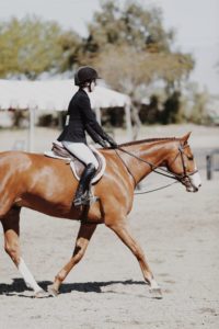 How to Learn to Ride a Horse
