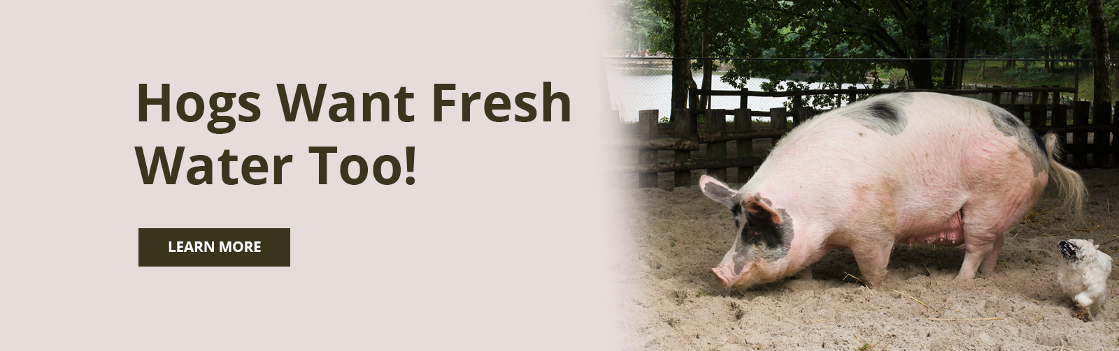 Horse Drinker Bar Bar A NonElectric Automatic Waterer