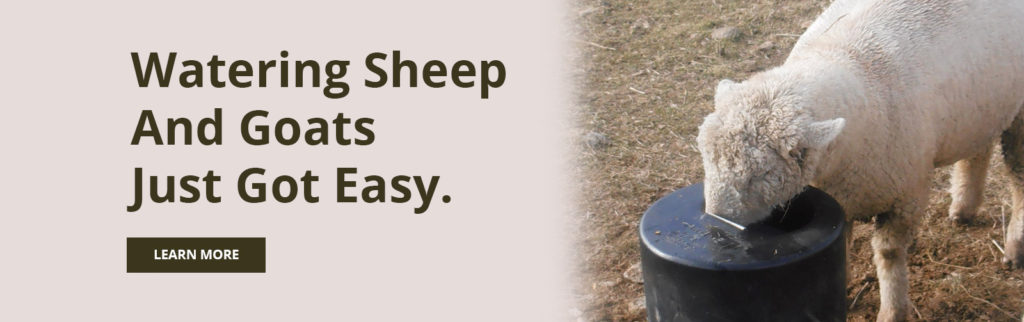 Sheep and Goat Drinker Bar Bar A Automatic Livestock Waterer