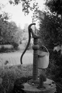 The Importance of Water for Horses
