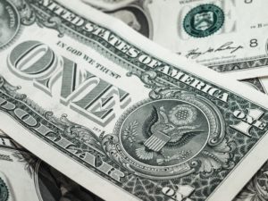 Can You Save Money With A Horse Drinker?
