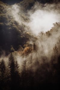 Wildfire Danger and your Horses