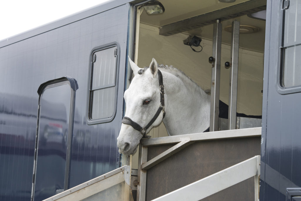 Essential Tips For Taking Your Horse On A Trail Ride: Part 1 Important Maintenance For Your Horse Trailer Bar Bar A