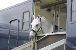 Important Maintenance for your Horse Trailer