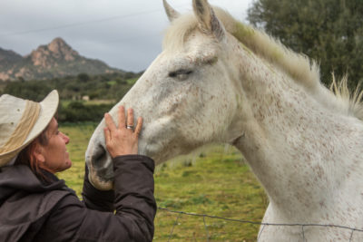 Drinking Post Vs Bar Bar A Horse Waterer: Important Facts You Need To Know bar bar a drinking post