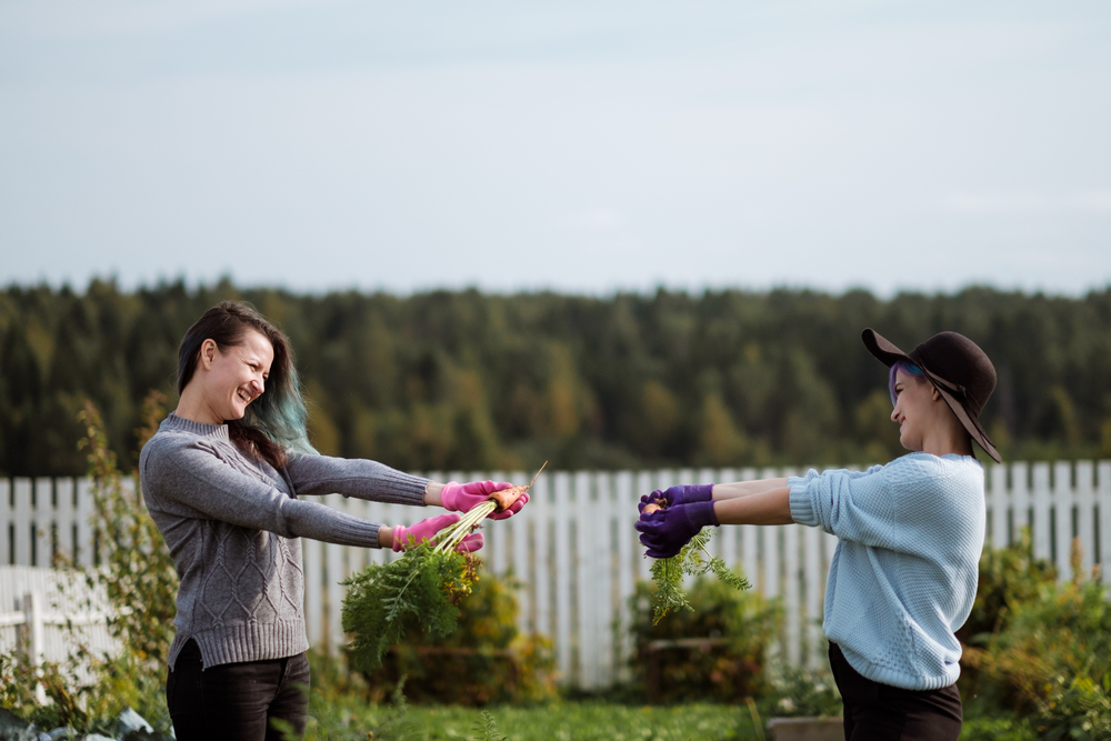 6 Useful Tips To Start Your Own Homestead start your own homestead