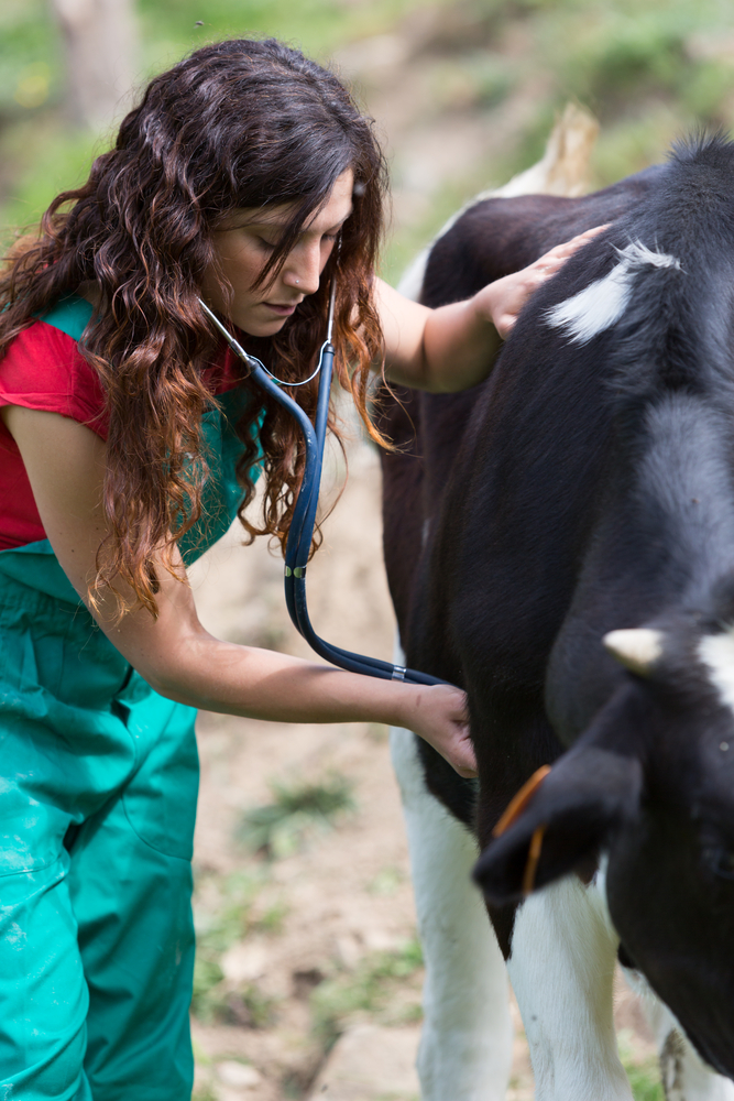 7 Common Livestock Illnesses From Dirty Water And What You Can Do dirty water livestock