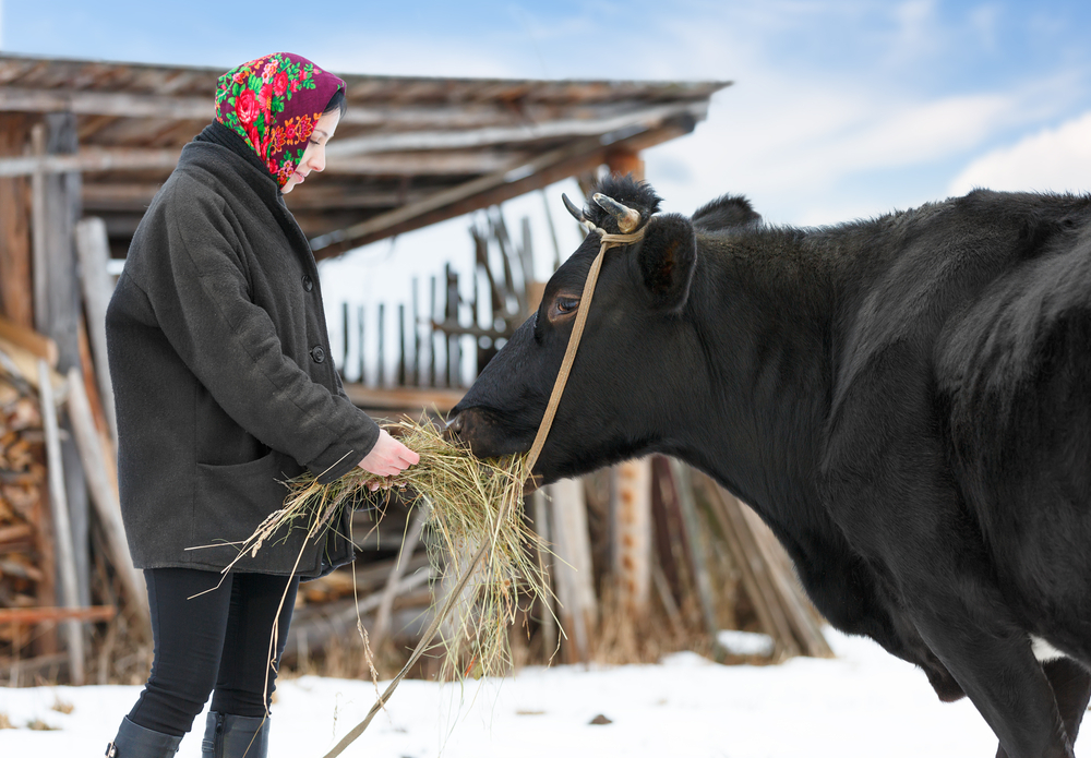 winter livestock survival