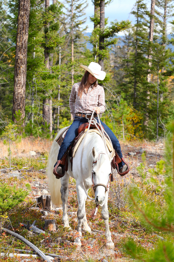 taking your horse on a trail ride USA Bar-Bar-A