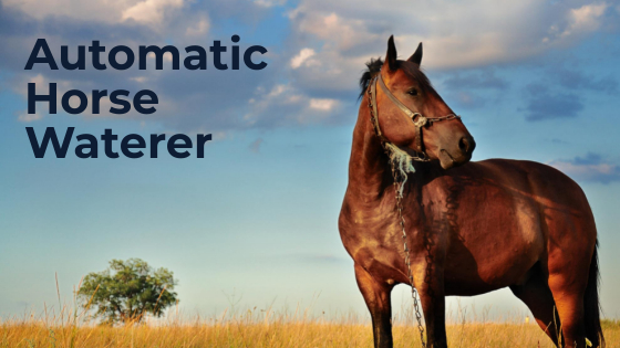 Automatic Horse Waterer