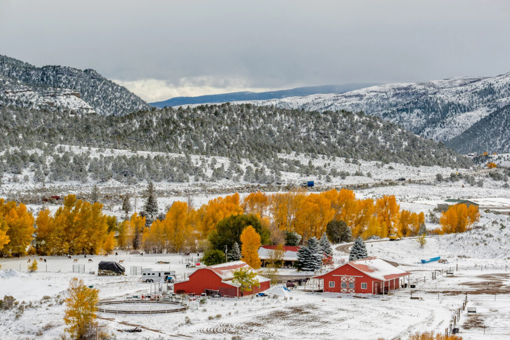 4 Important Ways To Prep Your Stable For Winter prep your stable for winter